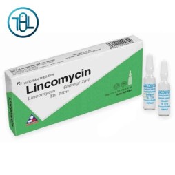 Dung dịch tiêm Lincomycin 600mg/2ml Vinphaco