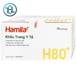 Khẩu trang than hoạt tính H80+