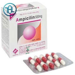 Thuốc Ampicilin 500mg Vidipha