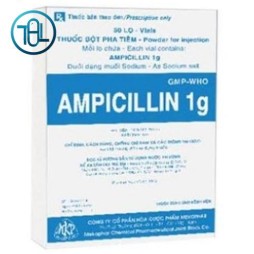 Thuốc bột pha tiêm Ampicillin 1g