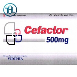 Thuốc Cefaclor 500mg Vidipha