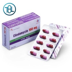 Thuốc Clindamycin 150mg Domesco