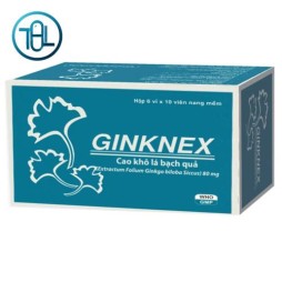 Thuốc Ginknex 80mg