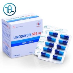 Thuốc Lincomycin 500mg Domesco