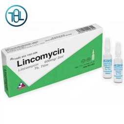 Thuốc Lincomycin 600mg/2ml Siu Guan Chem