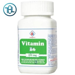 Thuốc Vitamin B6 250mg Domesco