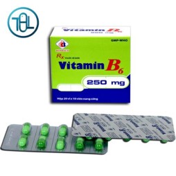 Thuốc Vitamin B6 250mg Domesco