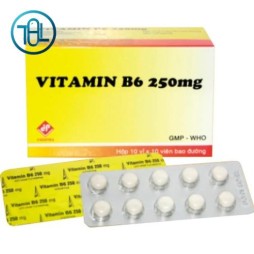 Thuốc Vitamin B6 250mg Vidipha