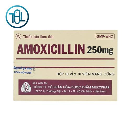 Thuốc Amoxicillin 250mg