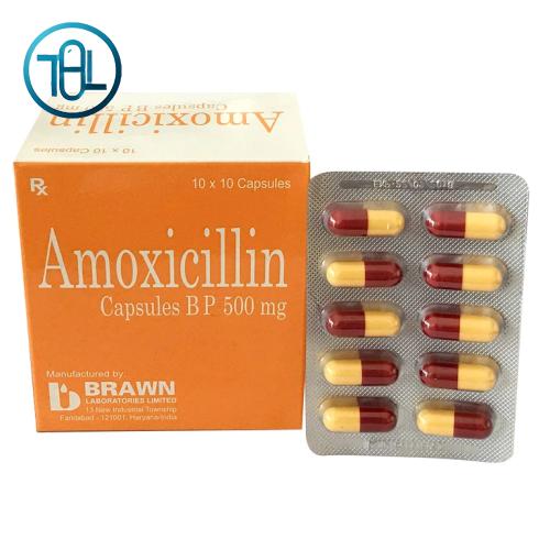 Thuốc Amoxicillin Capsules BP 500mg Brawn