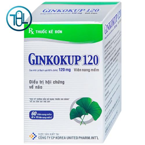 Thuốc Ginkokup 120