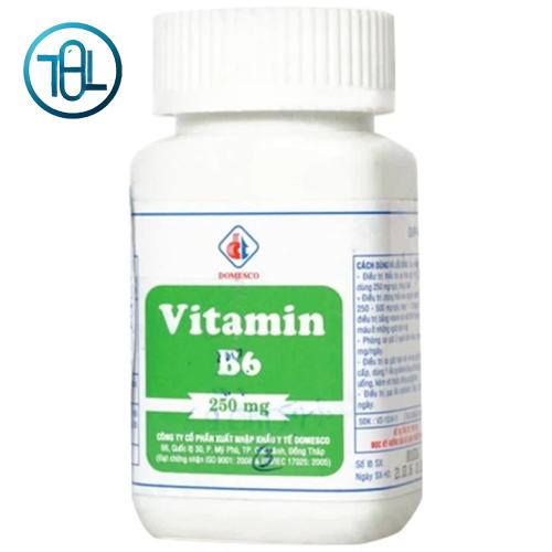 Thuốc Vitamin B6 250mg Domesco