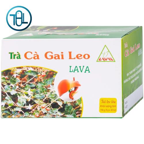 Trà túi lọc Cà Gai Leo Lava